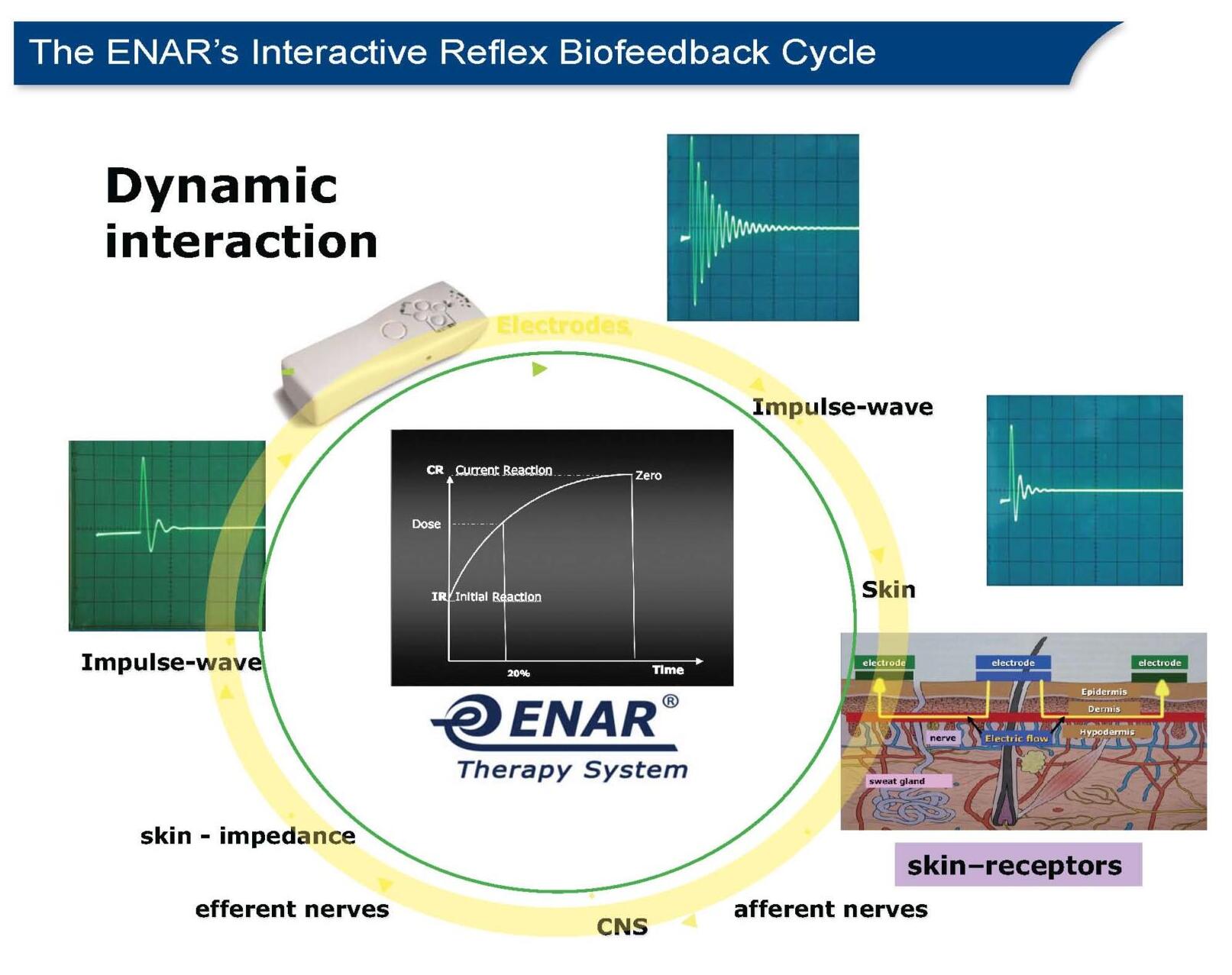 ENAR Basic Day1 A5ManualforVideoPics_Page_06